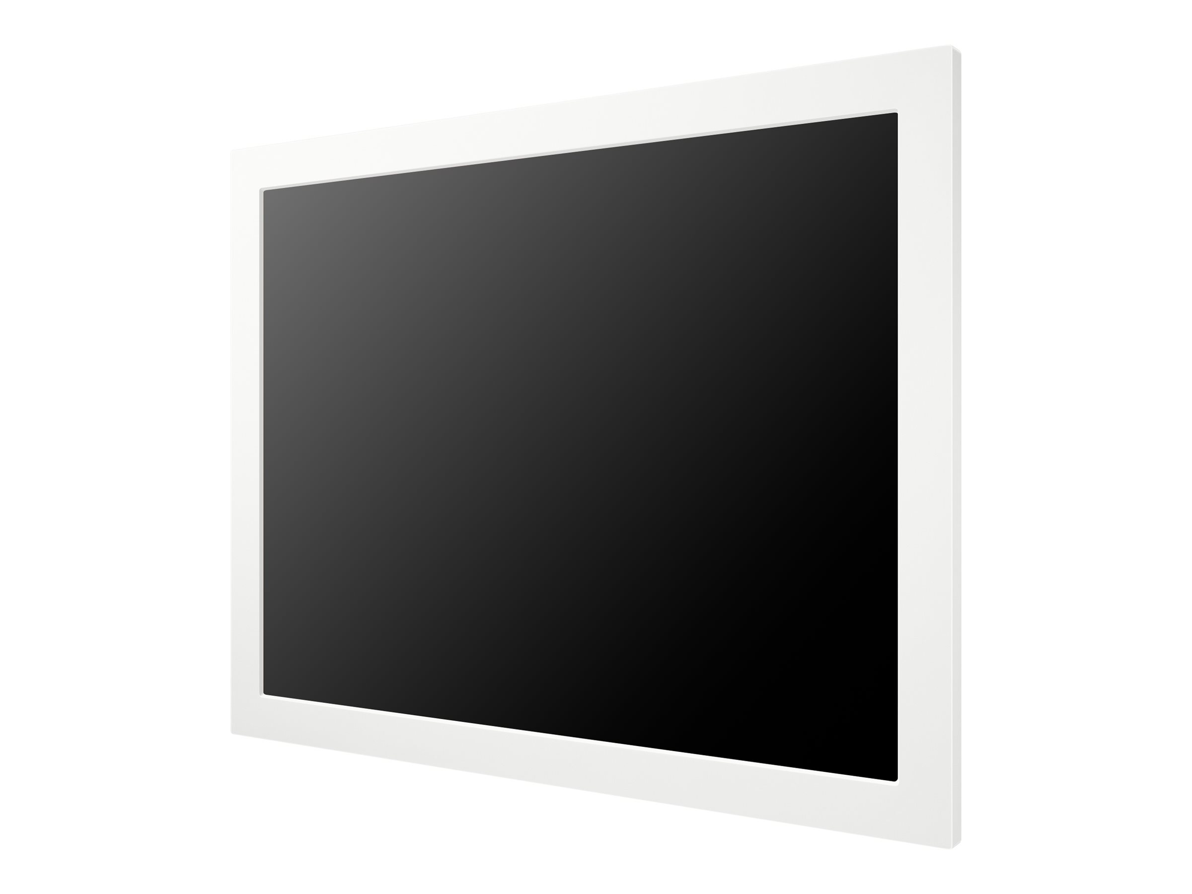 SAMSUNG DS EM13DX E-Paper 33,8cm (13,3")