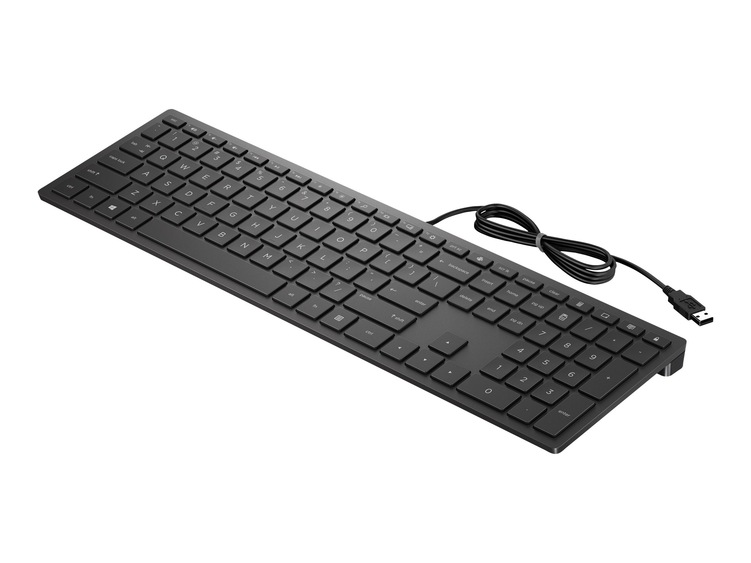 HP Pavilion Wired Keyboard 300 GR